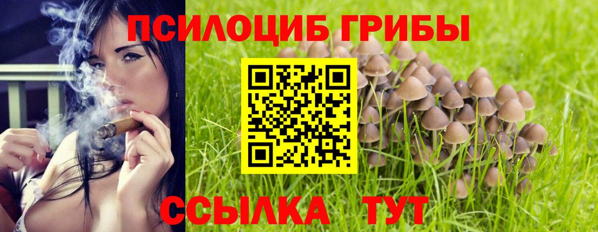 Псилоцибиновые грибы GOLDEN TEACHER  Вход с VPN  Галлюциногенные грибы GOLDEN TEACHER  Пыть-Ях 